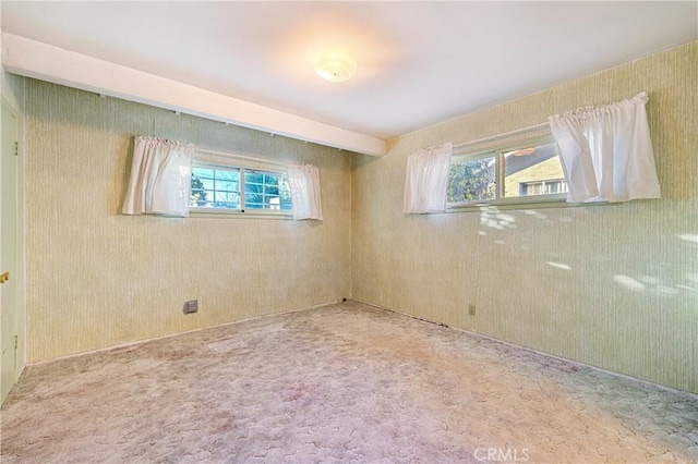 view of carpeted spare room