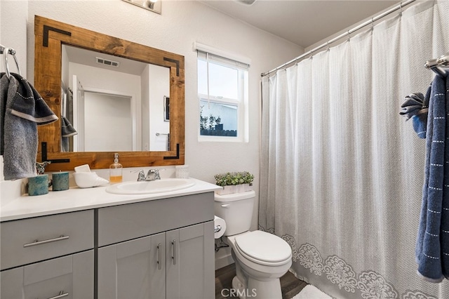 bathroom with vanity and toilet