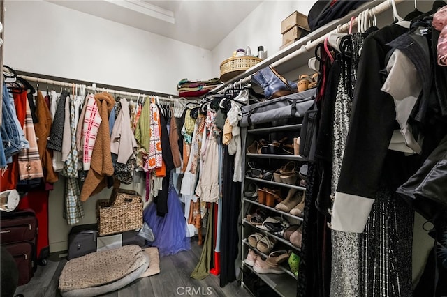 spacious closet featuring dark hardwood / wood-style flooring