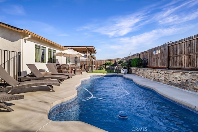 view of pool featuring a patio area