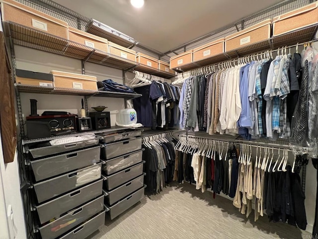 view of walk in closet