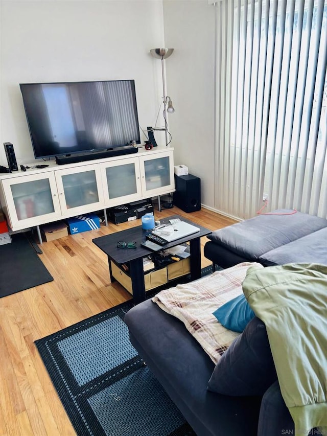 living room with hardwood / wood-style floors