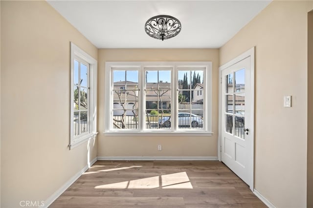 interior space featuring hardwood / wood-style flooring and plenty of natural light