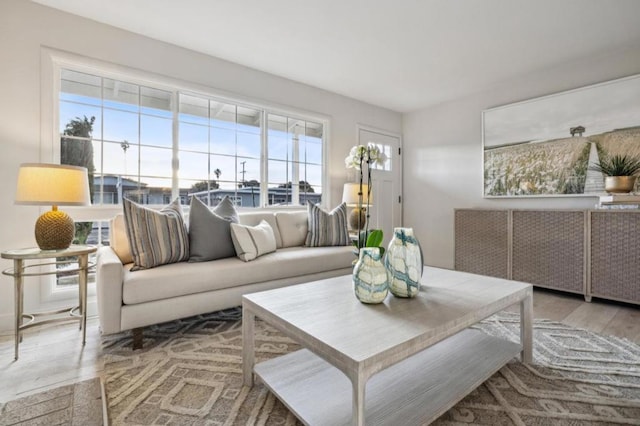 living room with light hardwood / wood-style flooring