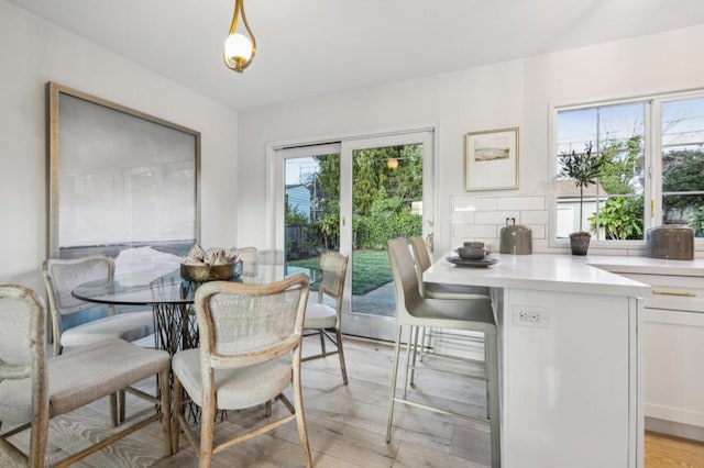 dining space featuring light hardwood / wood-style flooring