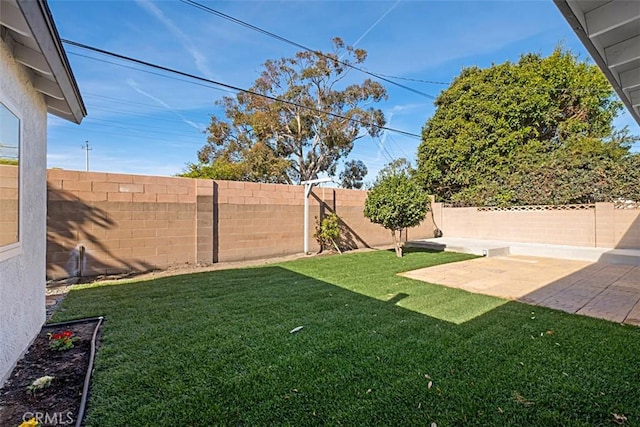 view of yard featuring a patio area