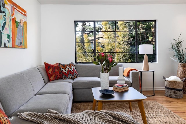 living room with wood-type flooring and a healthy amount of sunlight