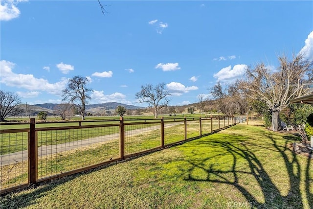 view of yard featuring a rural view and a mountain view