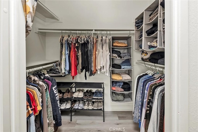 walk in closet featuring wood-type flooring