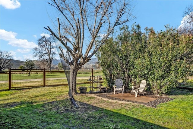 view of yard with a patio, a mountain view, and a rural view