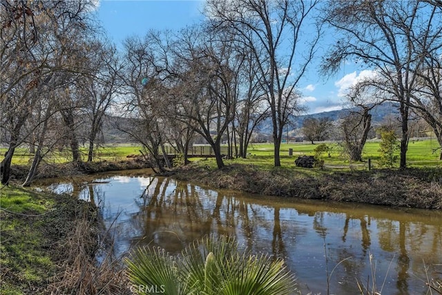 water view featuring a mountain view