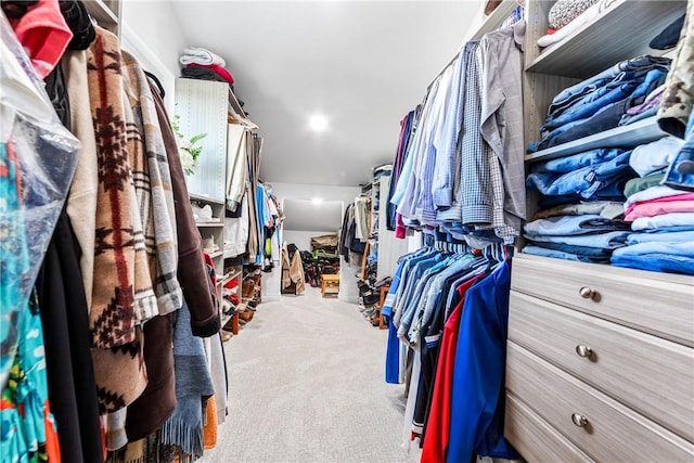 walk in closet with carpet floors