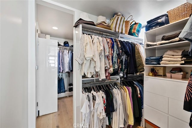 spacious closet with light wood-type flooring