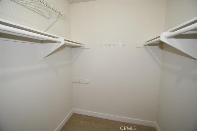 walk in closet with carpet flooring