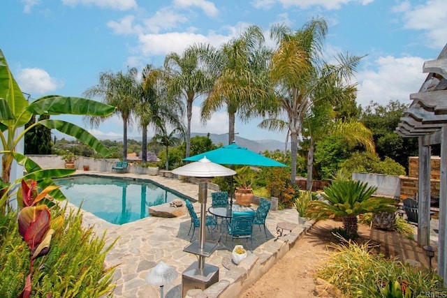 view of swimming pool with a patio area and a fenced in pool