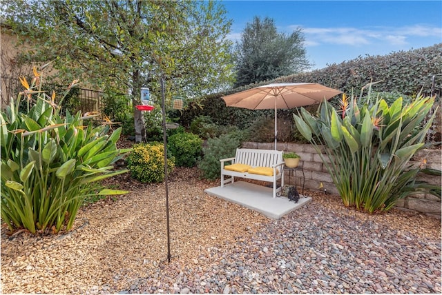 view of yard featuring a patio