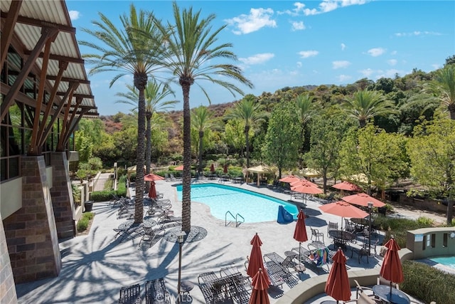 view of swimming pool featuring a patio