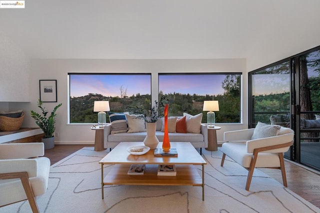 living room featuring hardwood / wood-style flooring and plenty of natural light