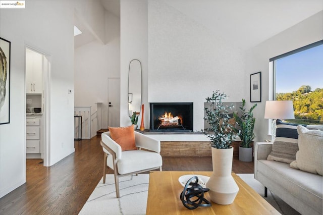 living room featuring wood-type flooring and high vaulted ceiling