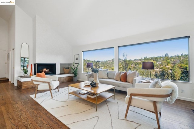 living room featuring dark wood-type flooring, high vaulted ceiling, and a multi sided fireplace