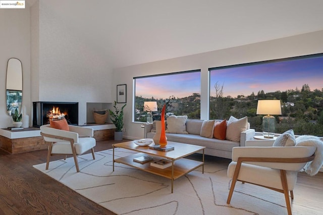 living room featuring a multi sided fireplace, hardwood / wood-style floors, and high vaulted ceiling