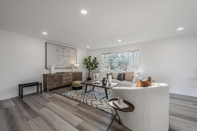 living room featuring wood-type flooring