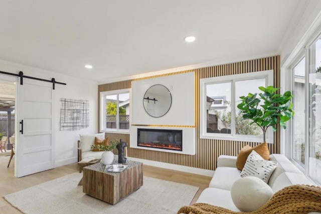 living room with a barn door and light hardwood / wood-style flooring