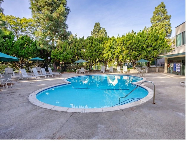 view of pool featuring a patio area