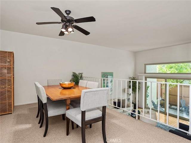 dining room with carpet