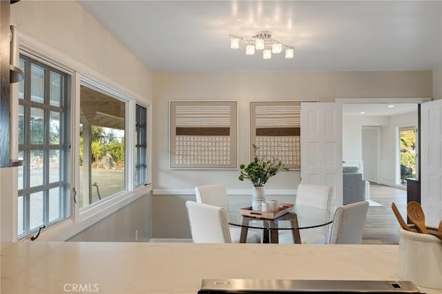 dining room with hardwood / wood-style flooring and a wealth of natural light