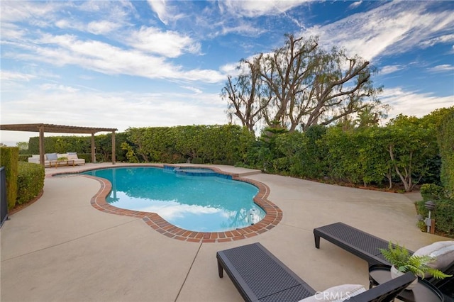 view of swimming pool with a pergola and a patio