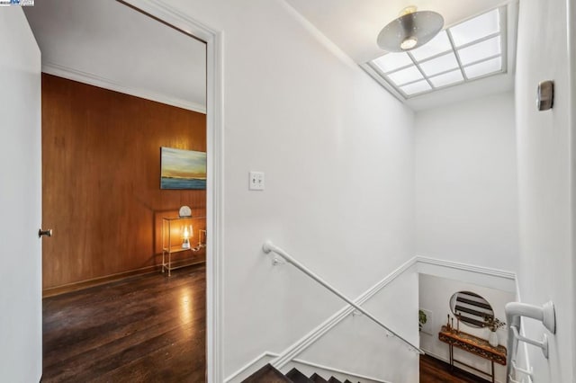 stairs with wood-type flooring and wooden walls