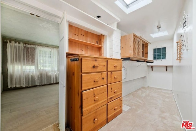 spacious closet with light carpet and a skylight