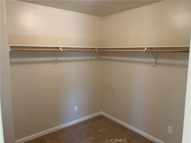 walk in closet featuring carpet