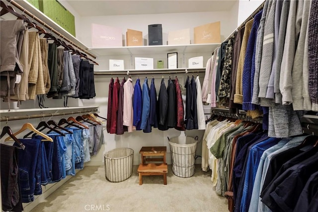 spacious closet with light colored carpet