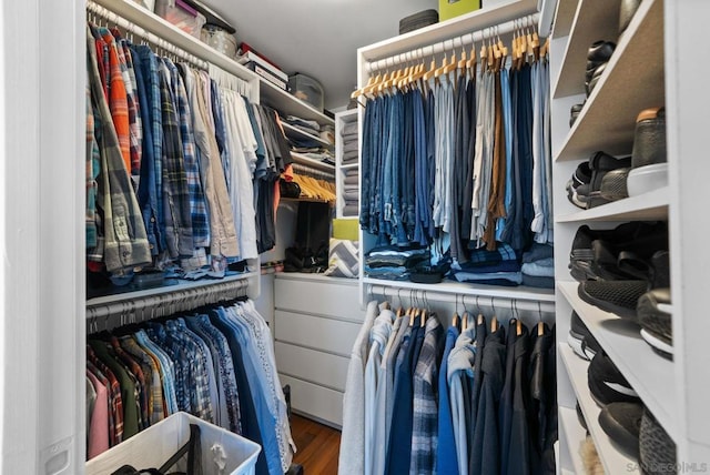 walk in closet featuring hardwood / wood-style flooring