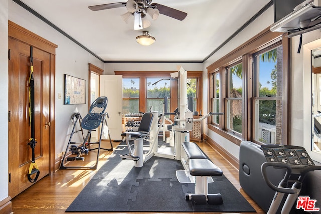 exercise area featuring ceiling fan, ornamental molding, and light hardwood / wood-style floors