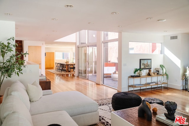 living room featuring light hardwood / wood-style flooring