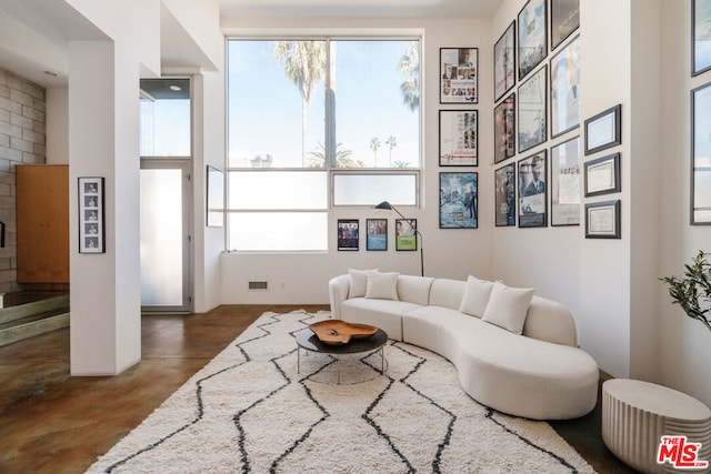 living room featuring a wealth of natural light