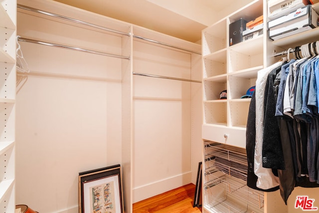 walk in closet with hardwood / wood-style flooring