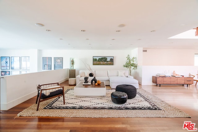 living room with wood-type flooring