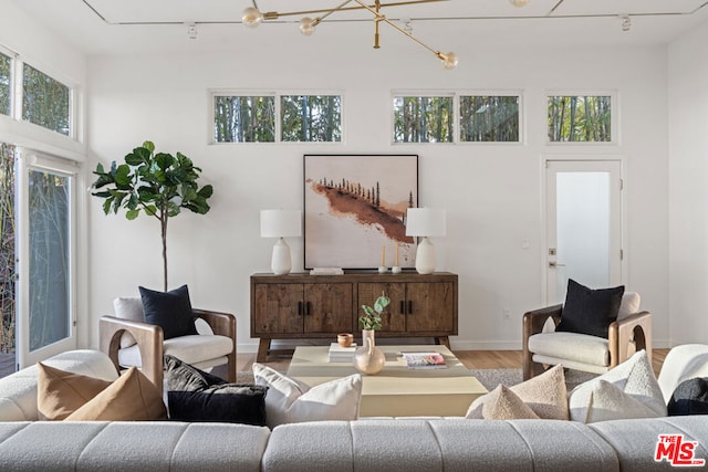 living room featuring hardwood / wood-style flooring, rail lighting, and a towering ceiling