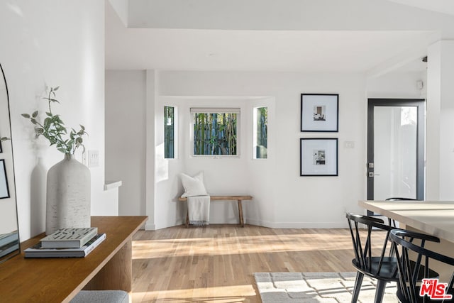 interior space featuring wood-type flooring