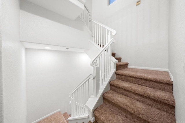 staircase featuring carpet flooring