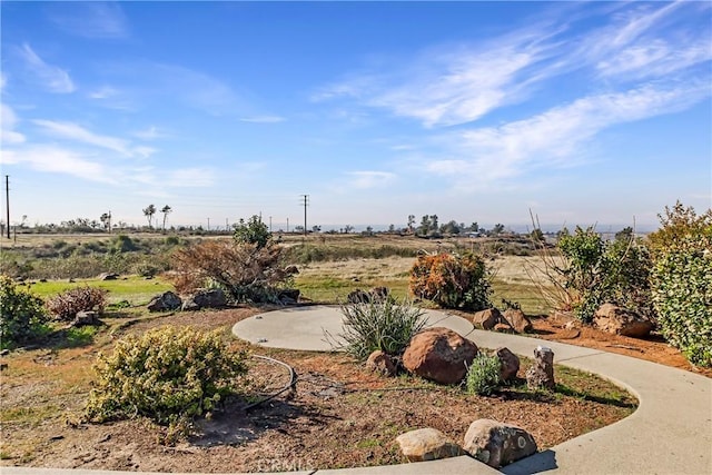 view of yard featuring a rural view