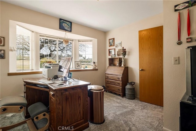 carpeted office space with plenty of natural light