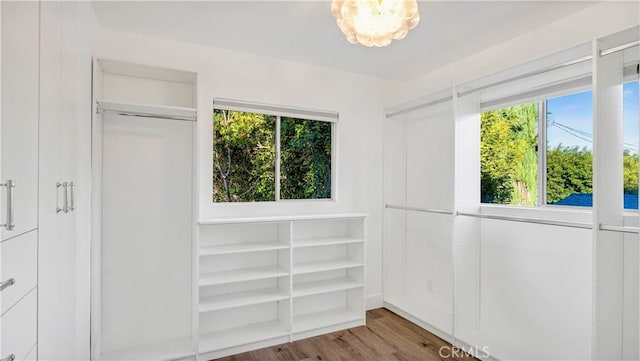 unfurnished bedroom with wood finished floors