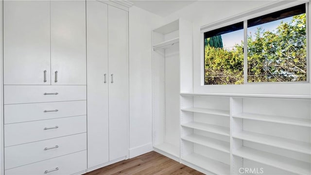 walk in closet with hardwood / wood-style flooring