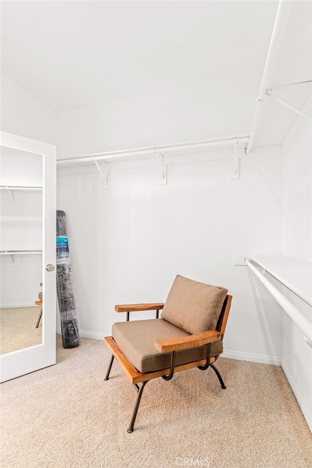 spacious closet with light carpet