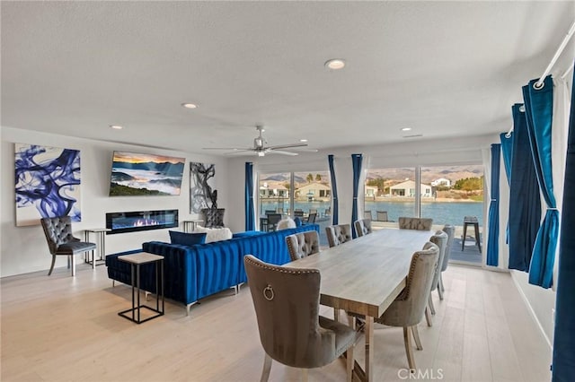 dining area with ceiling fan and light wood-type flooring